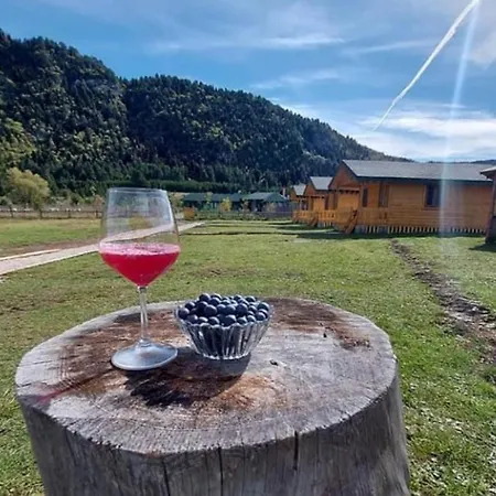 Camping Farm Shelegur Leskovik Exterior photo