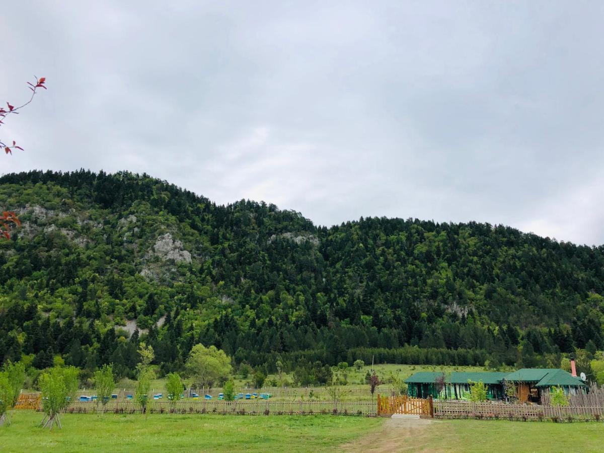 Farm Shelegur * Leskovik