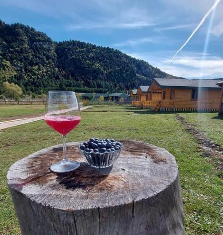 Villa Farm Shelegur *