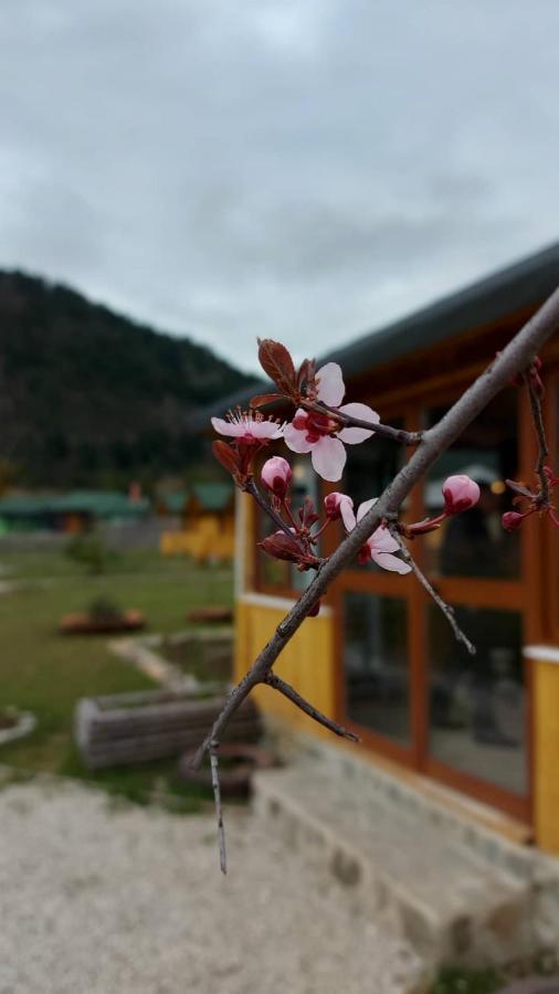 Villa Farm Shelegur *
